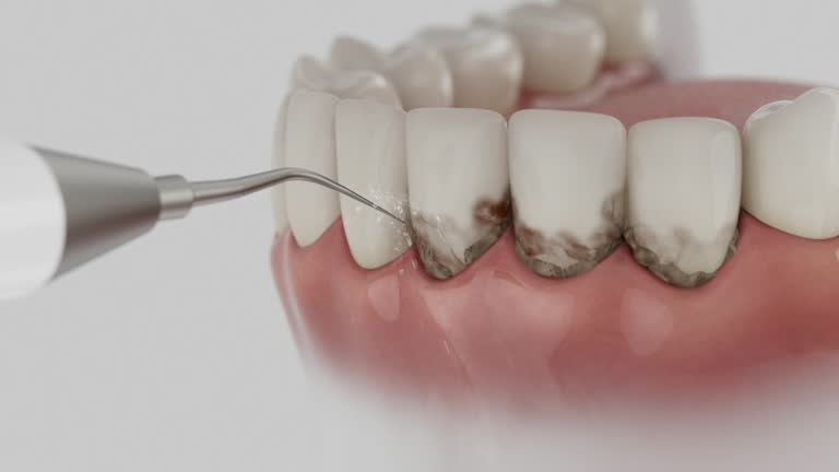 Reliable Dental contractor in Flint, MI by Dentist Open Now